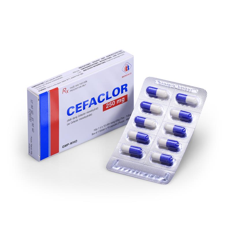 CEFACLOR 250MG (TÍM-TRẮNG)