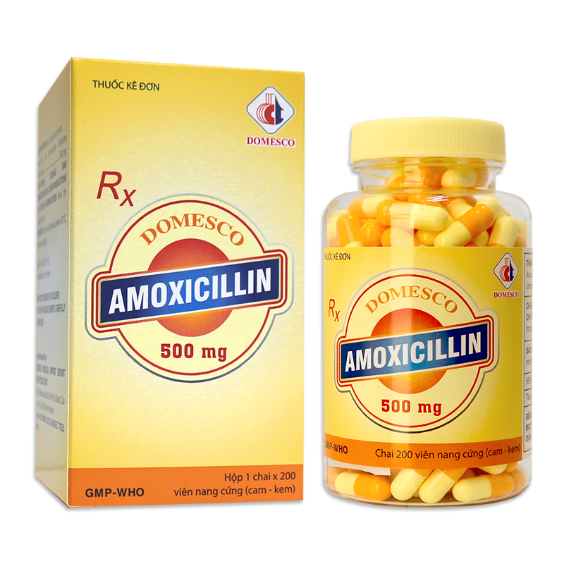 AMOXICILLIN 500MG (CAM KEM)