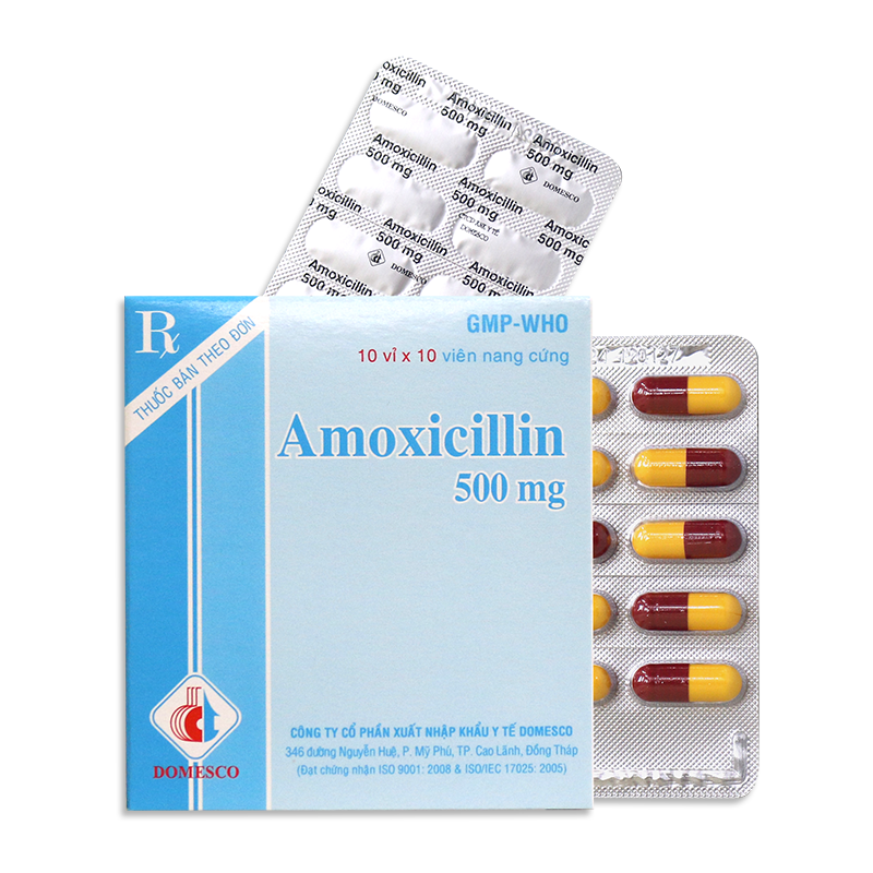 AMOXICILLIN 500mg (NÂU - VÀNG)