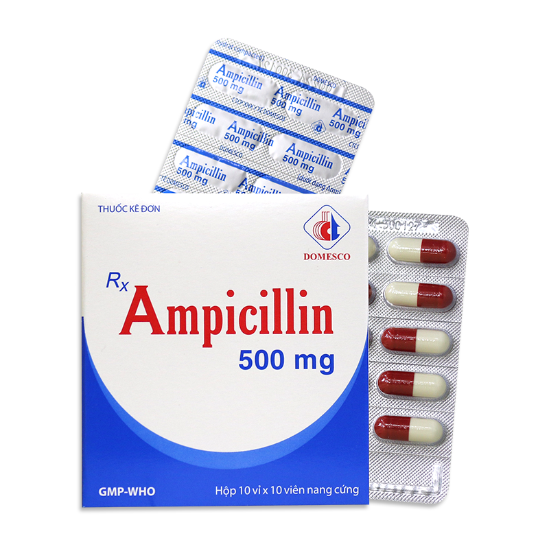 AMPICILLIN 500MG